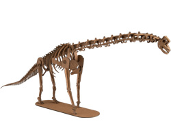 不動のブラキオサウルス ペーパークラフト