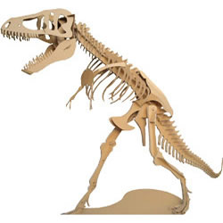 ティラノサウルス三点直立型・大