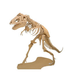 ティラノサウルス三点直立型・中