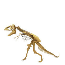 ティラノサウルス三点直立型・小